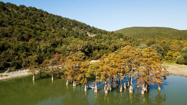 Не только детский курорт. Где купаться, есть и развлекаться в Анапе