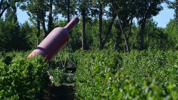 Не только детский курорт. Где купаться, есть и развлекаться в Анапе